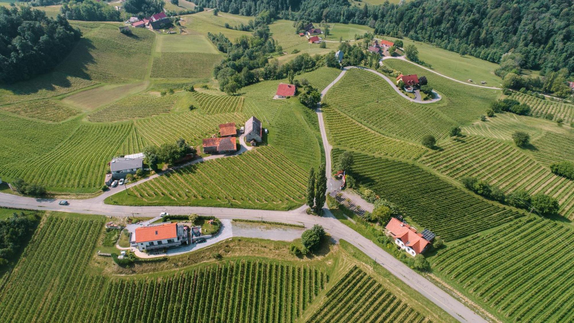 Appartement Weinstrassenapartment Fam. Dietrich Ratsch an der Weinstraße